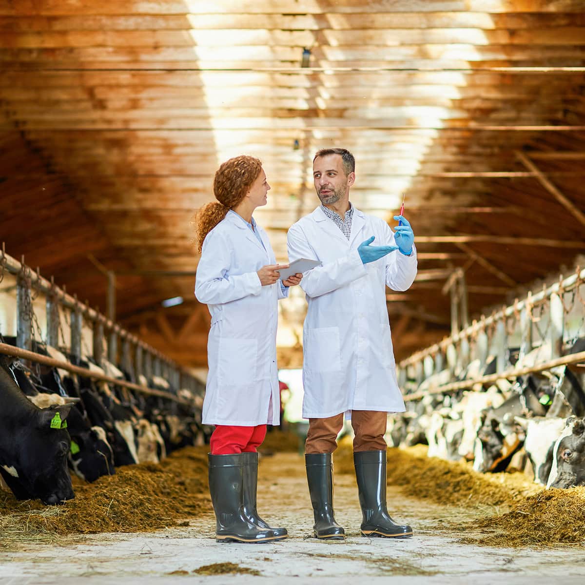 Experten der Miuilchindustrie Experten der Miuilchindustrie