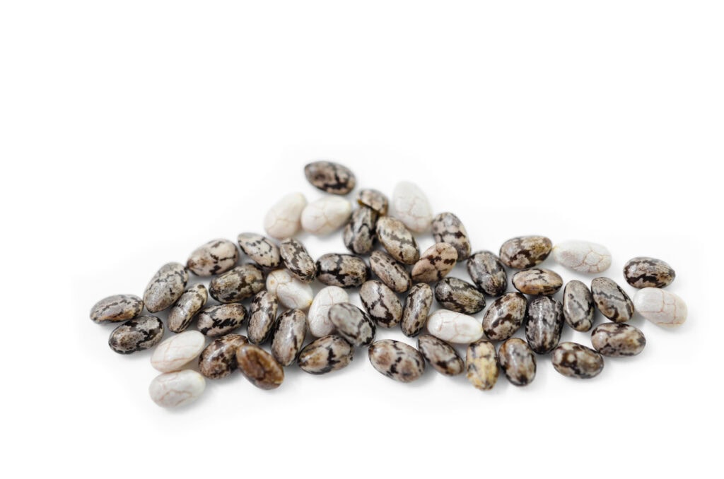 Chia Samen - weiß und schwarz - also hochwertige Rohstoffe für Lebensmittel, hohe Qualität