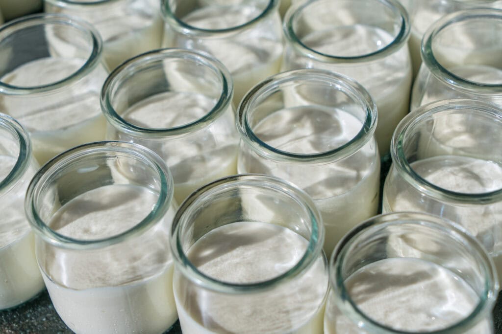 Fermentation: Frische Joghurtgläser voller cremigem Joghurt, Nahaufnahme.